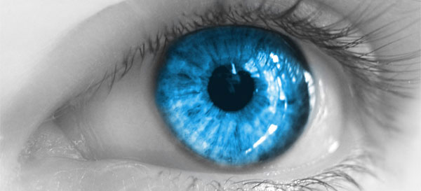 Eye