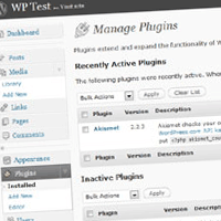 How to Build a Custom WordPress Plugin