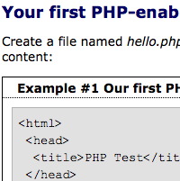 Your first script