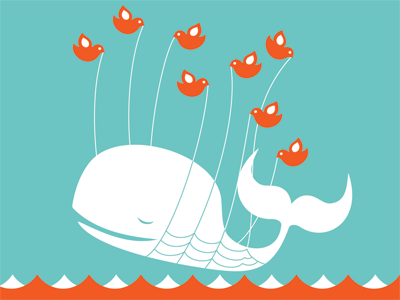 30 HTML Best Practices for Beginners Use Twitter