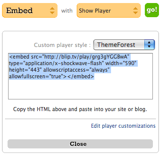 Embed Code