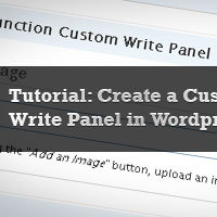 WordPress Write Panels