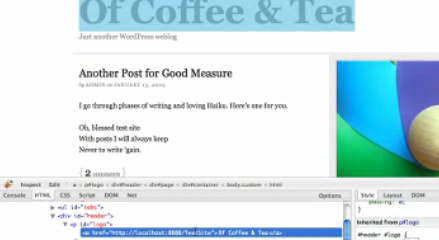 How to Use Firebug for CSS