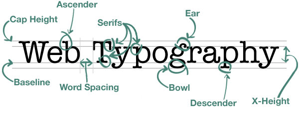 Typography, Examined and Labeled