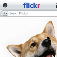 Flickr Finally Goes Native With An iPhone App