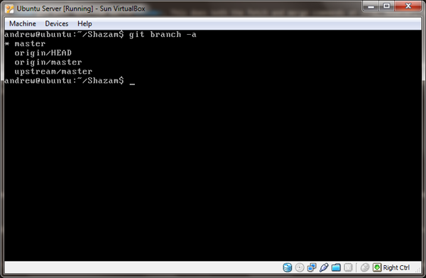 git branch -a