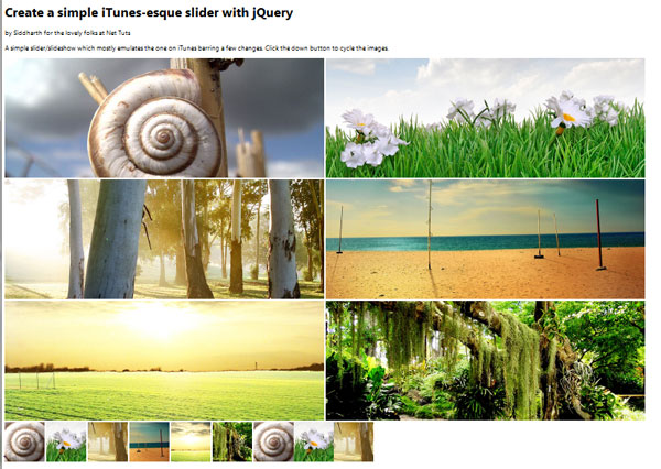 Tutorial Image
