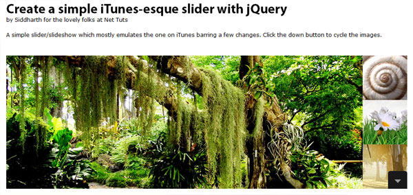 Tutorial Image