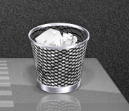 The Trash