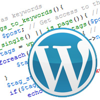 Your First WordPress Plugin: Simple Optimization