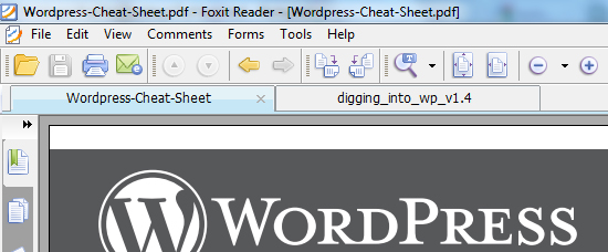 FoxitReader