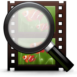 The State of Video on the Web