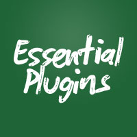 Vim Essential Plugins